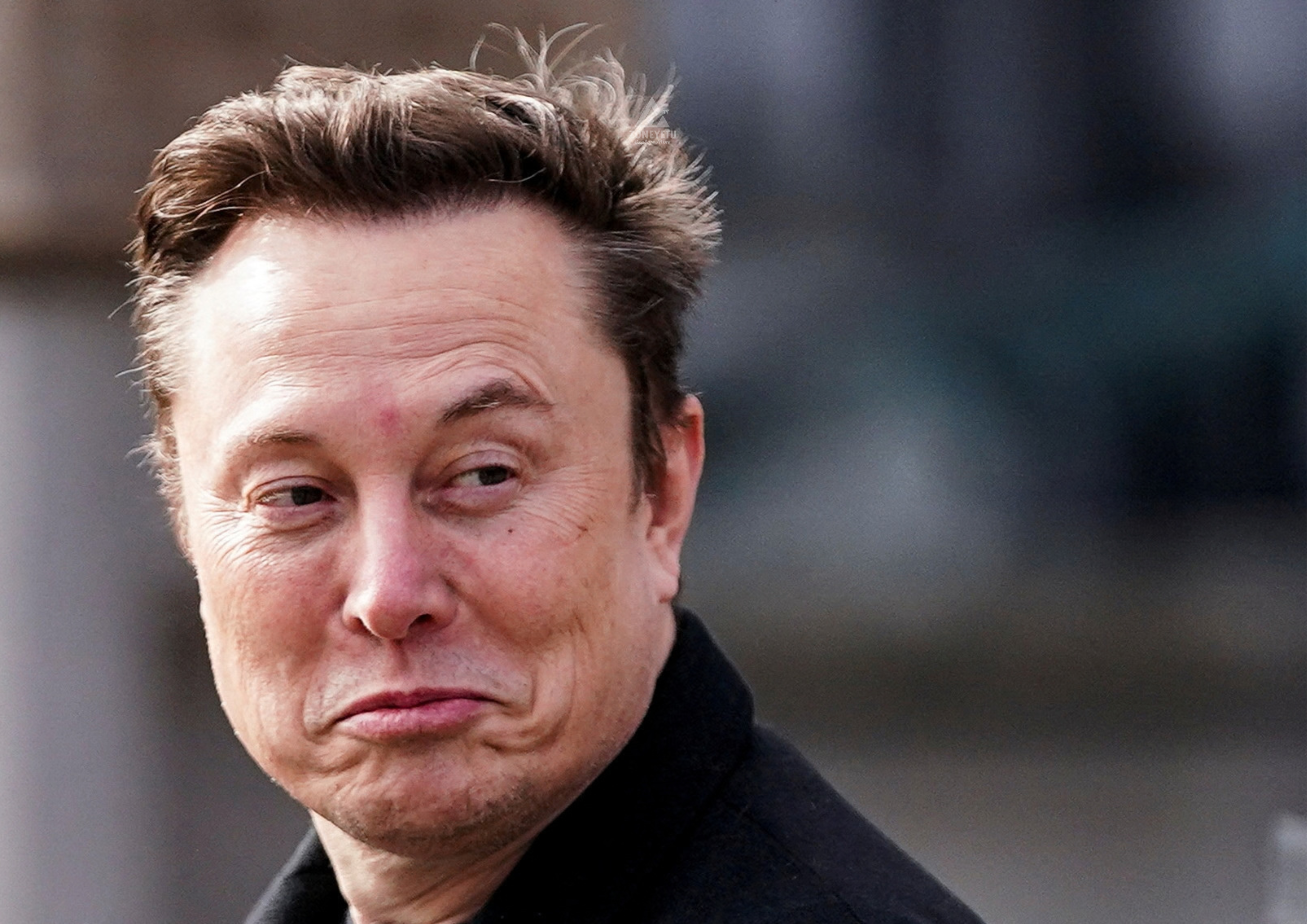 Musk Aahidi Bei Nafuu ya Starlink Nchini India Siku Chache Kabla ya IPO ya Kihistoria ya Jio